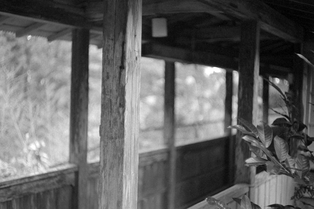 f:id:aremo-koremo:20211217181303j:plain