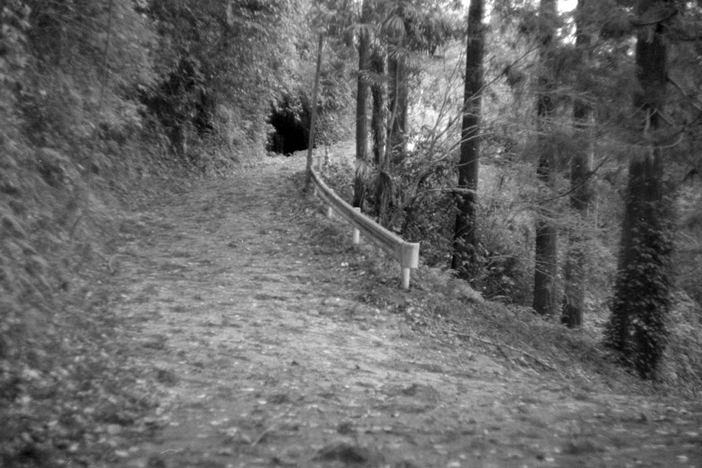 f:id:aremo-koremo:20211217182102j:plain