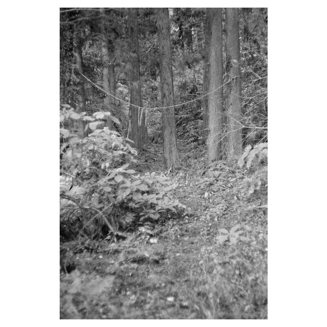 f:id:aremo-koremo:20211217182316j:plain