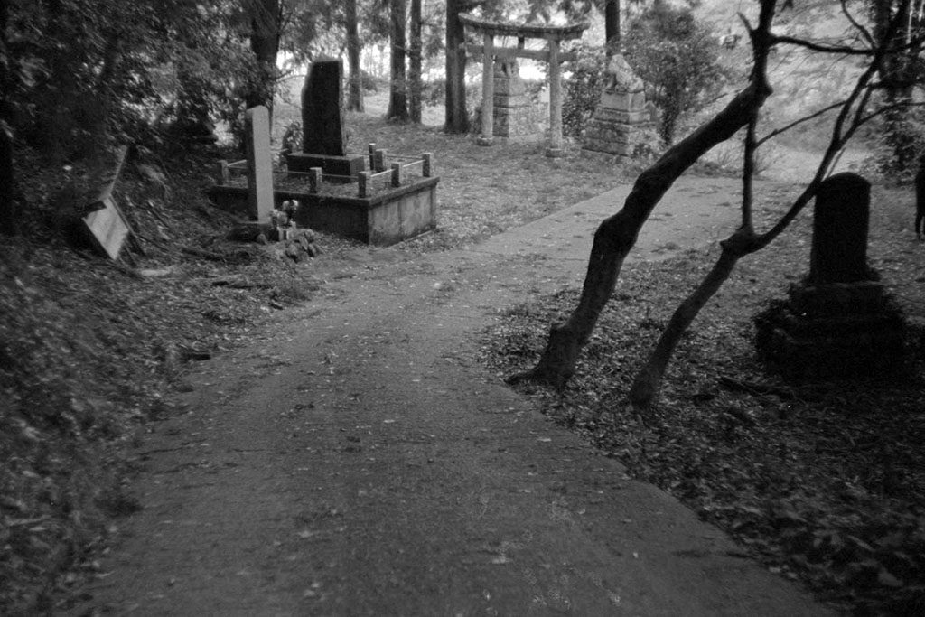 f:id:aremo-koremo:20211217182432j:plain