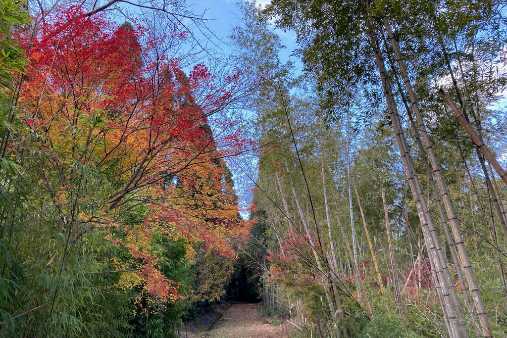 f:id:aremo-koremo:20211217183228j:plain