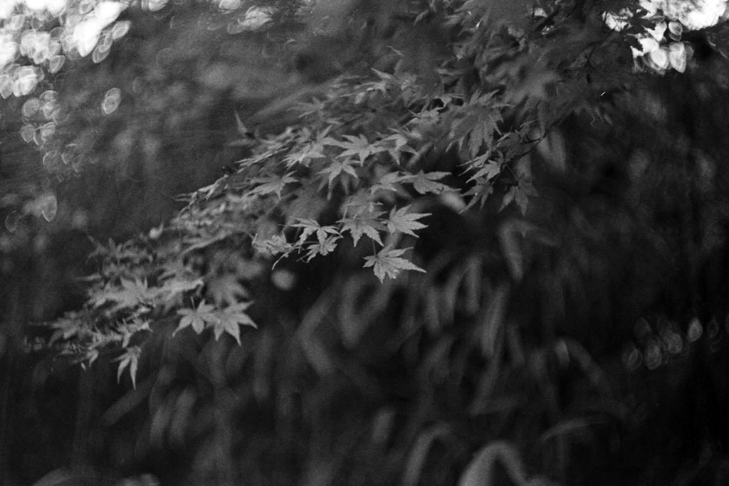 f:id:aremo-koremo:20211217183901j:plain