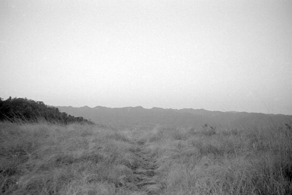 f:id:aremo-koremo:20211217185742j:plain