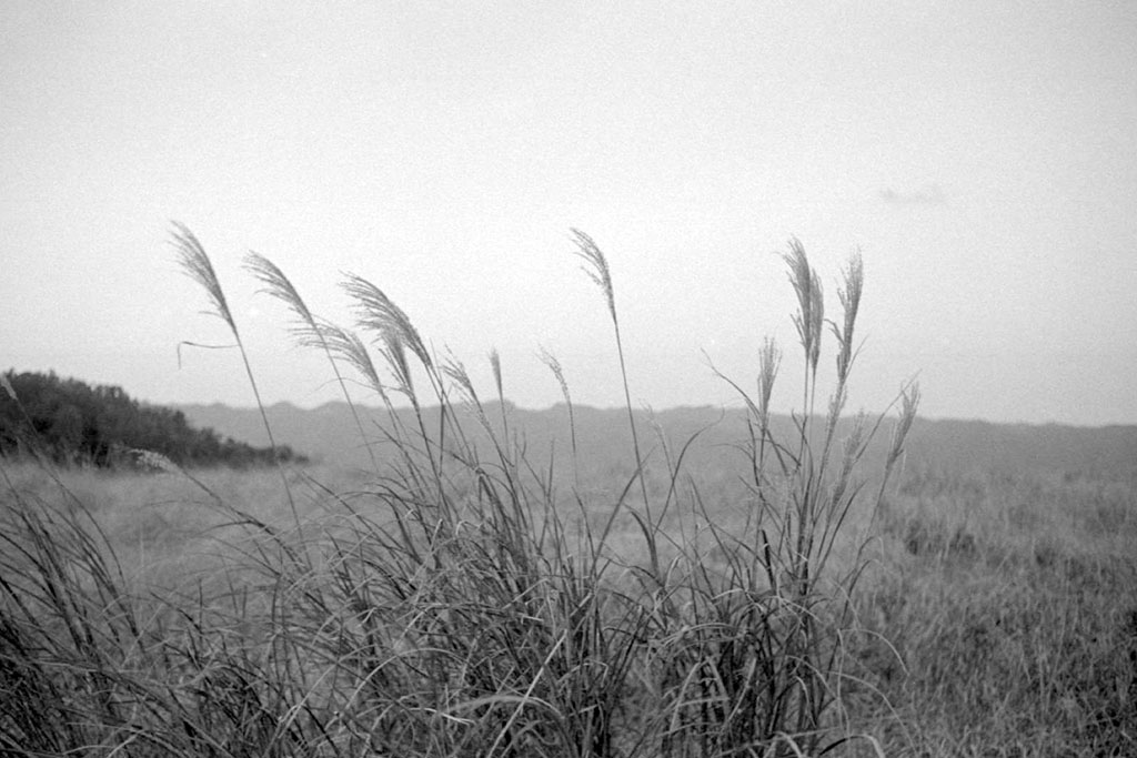 f:id:aremo-koremo:20211217190924j:plain