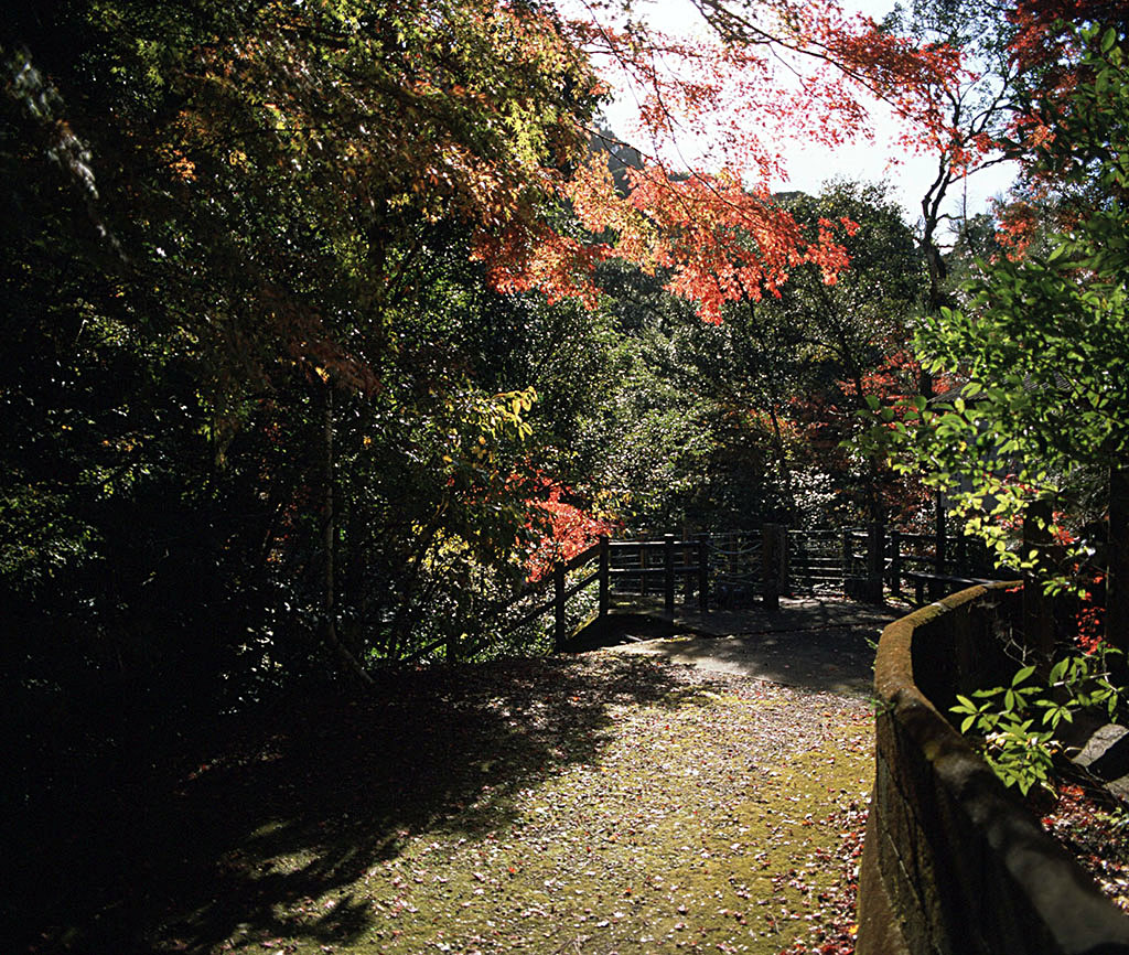 f:id:aremo-koremo:20211218225803j:plain