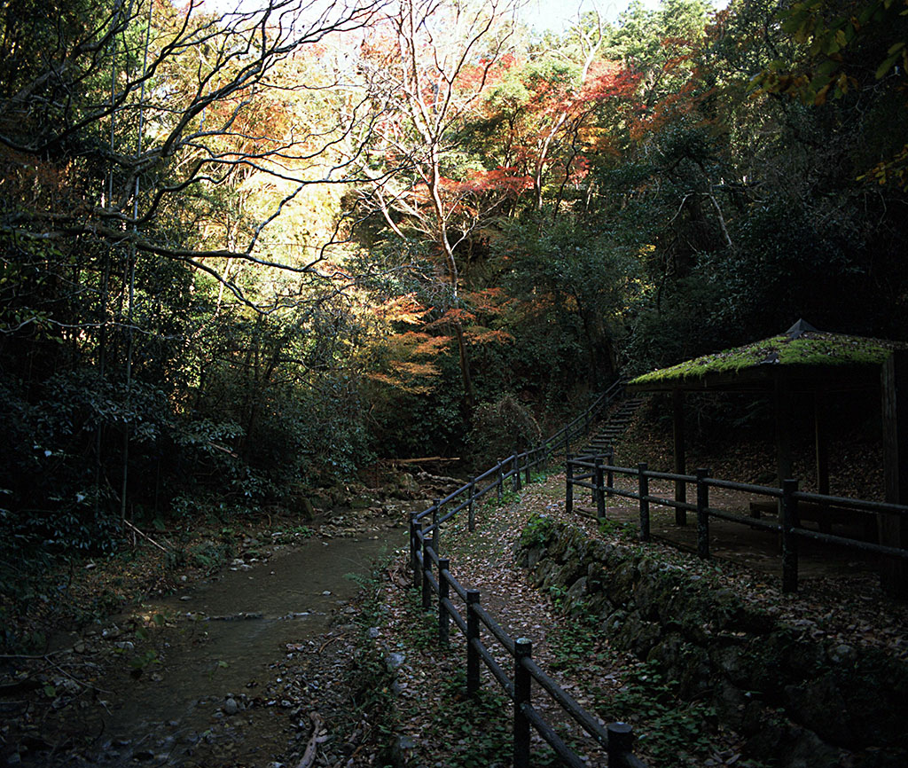 f:id:aremo-koremo:20211218230036j:plain