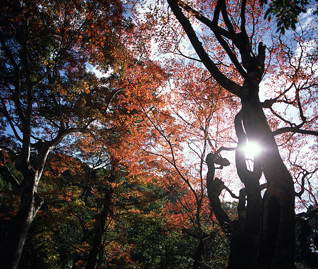 f:id:aremo-koremo:20211218230158j:plain