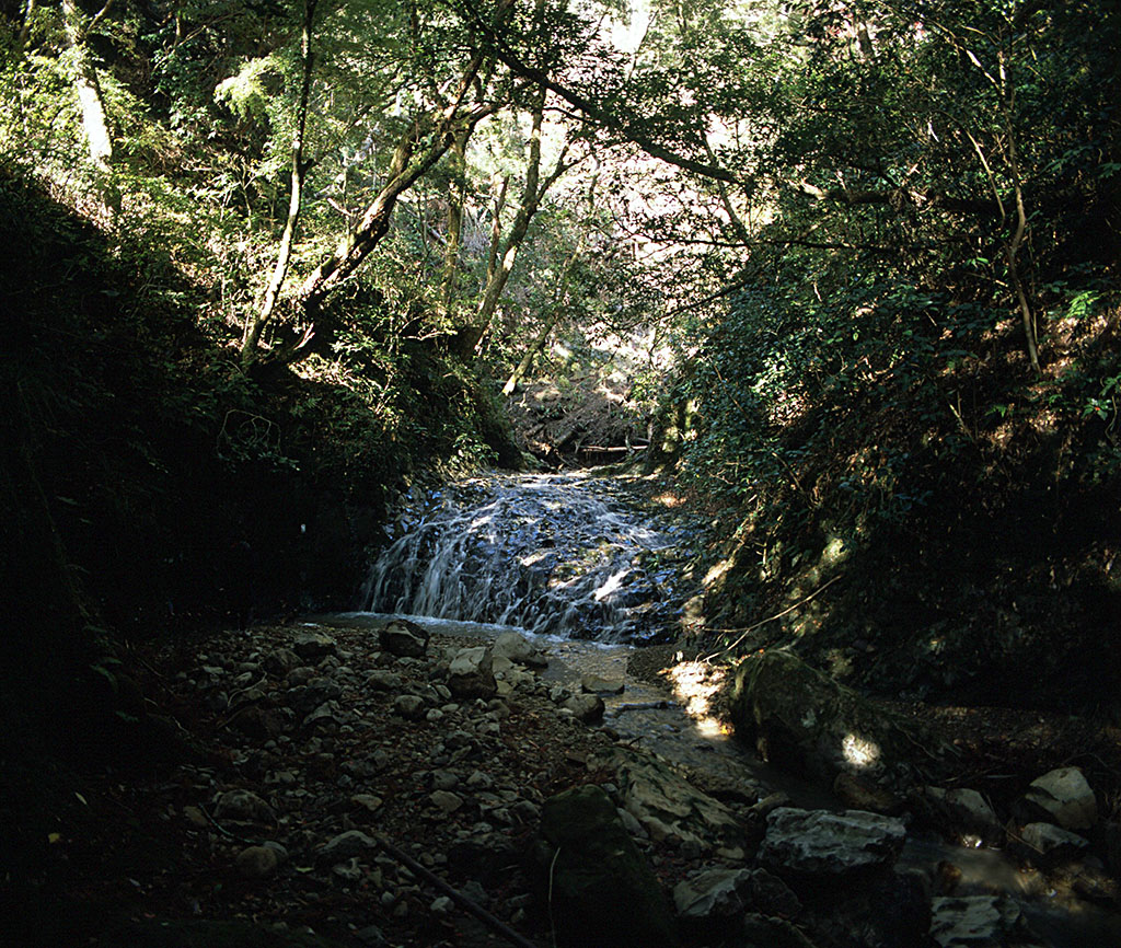 f:id:aremo-koremo:20211218230432j:plain