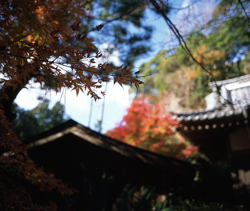 f:id:aremo-koremo:20211218231231j:plain