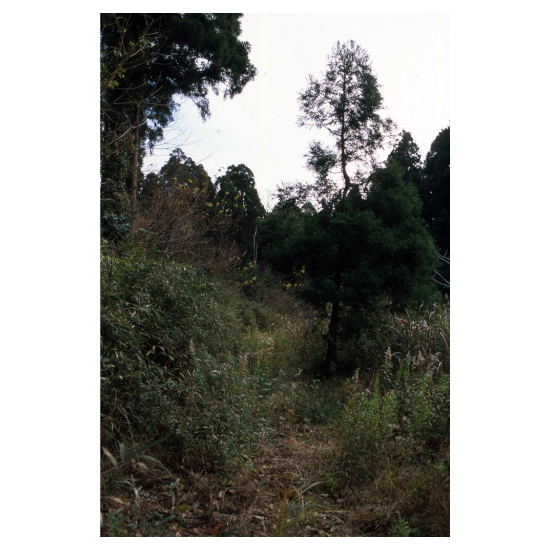 f:id:aremo-koremo:20211219031637j:plain