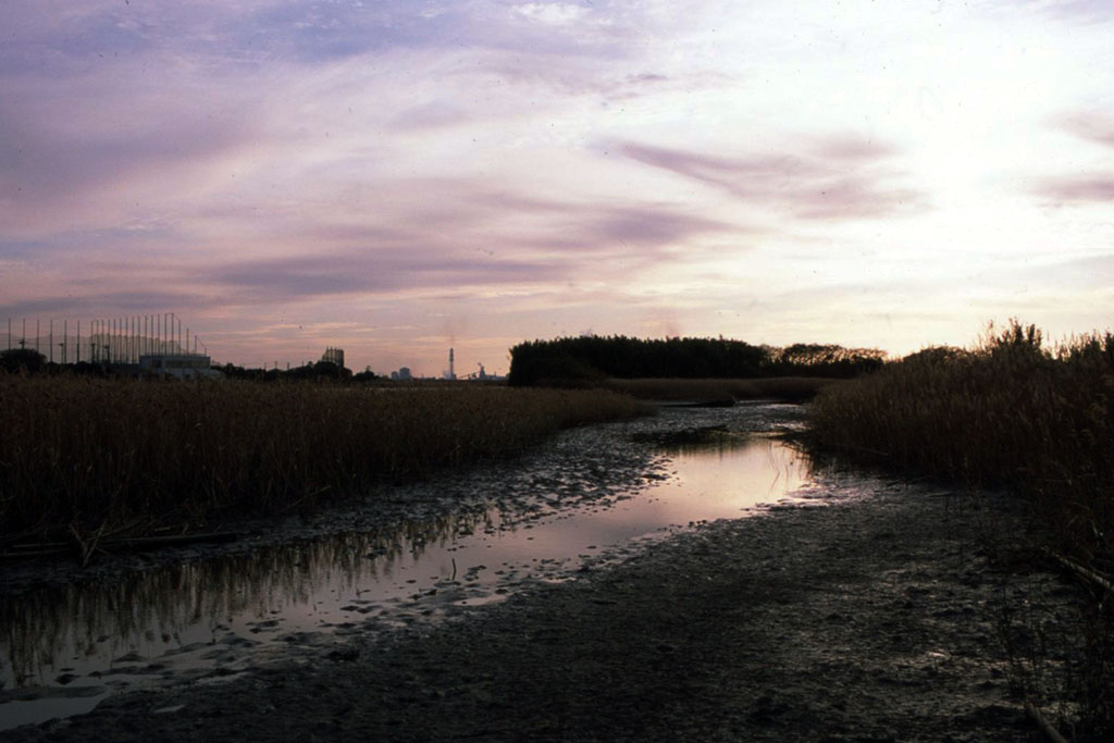 f:id:aremo-koremo:20211220012431j:plain