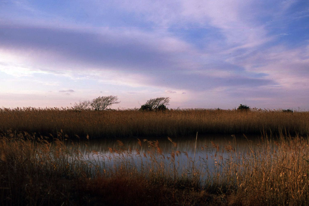 f:id:aremo-koremo:20211220014212j:plain