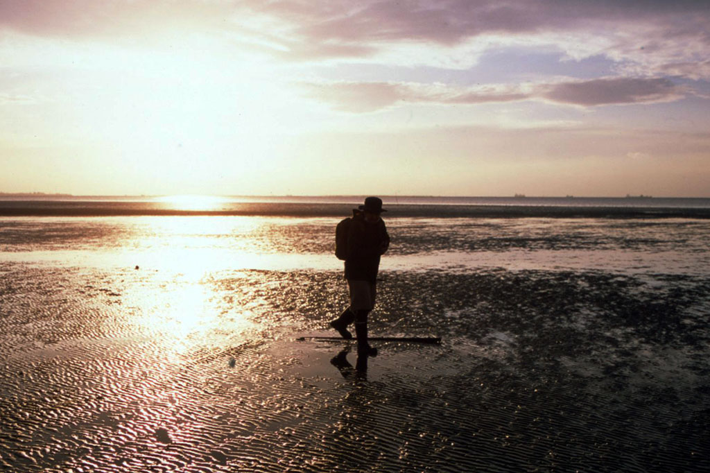 f:id:aremo-koremo:20211220014304j:plain