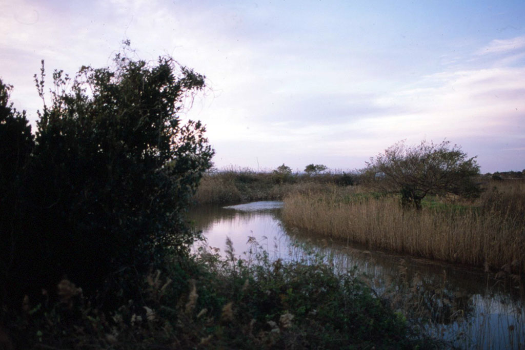 f:id:aremo-koremo:20211220014510j:plain