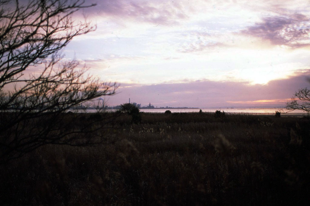 f:id:aremo-koremo:20211220014835j:plain