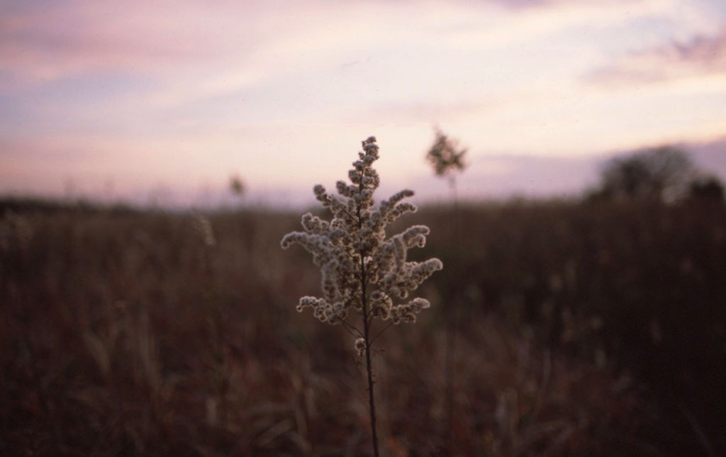 f:id:aremo-koremo:20211220014933j:plain