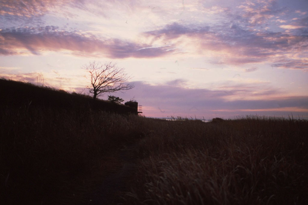 f:id:aremo-koremo:20211220015239j:plain