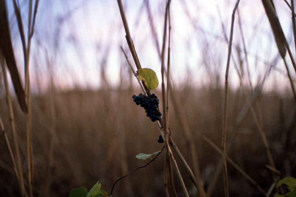 f:id:aremo-koremo:20211220015555j:plain