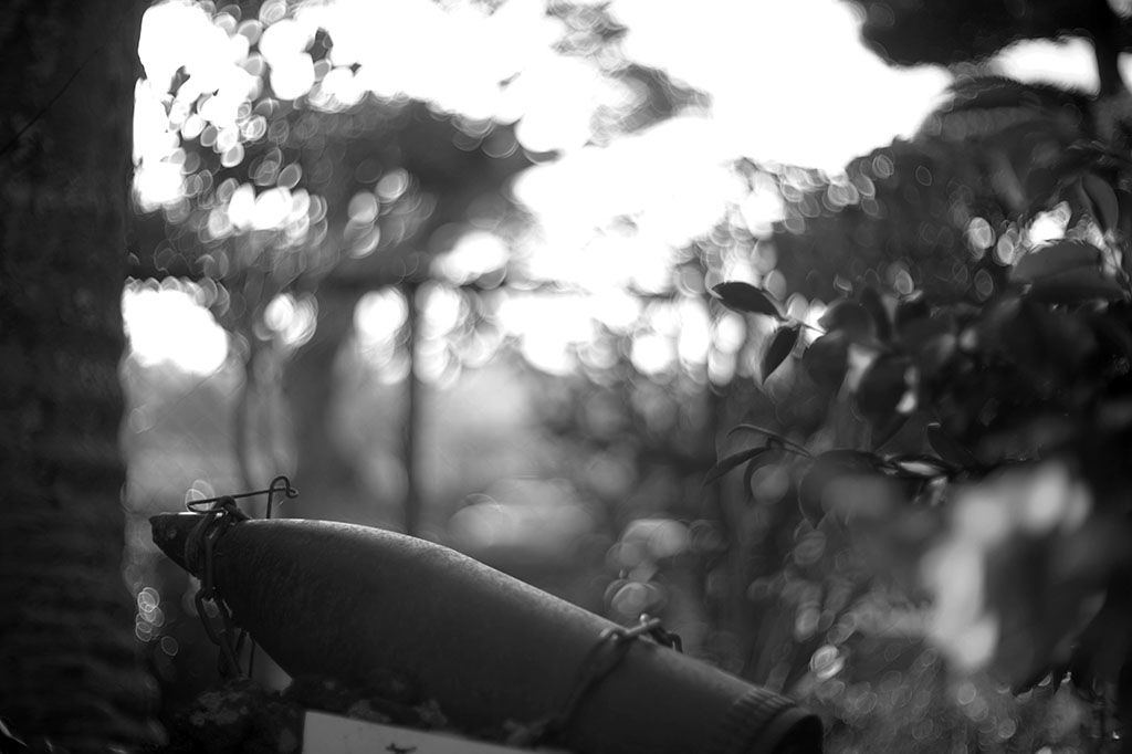 f:id:aremo-koremo:20211222143211j:plain