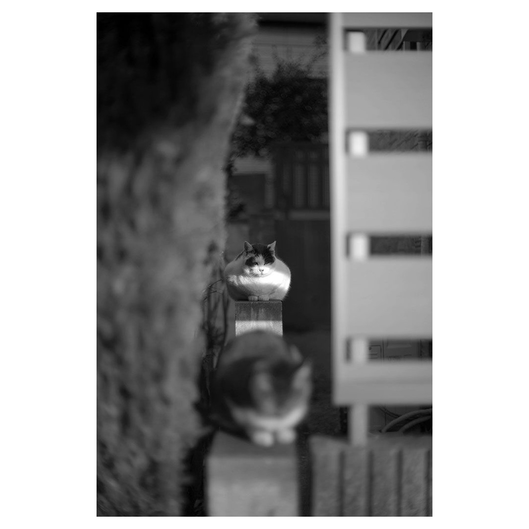 f:id:aremo-koremo:20211222145050j:plain