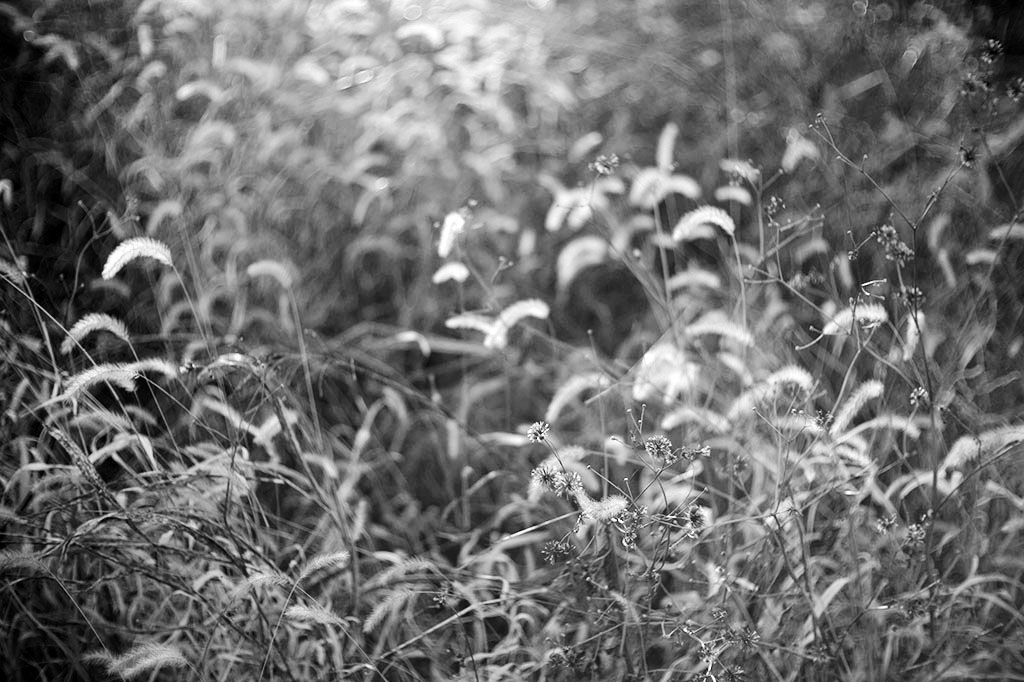 f:id:aremo-koremo:20211229184904j:plain