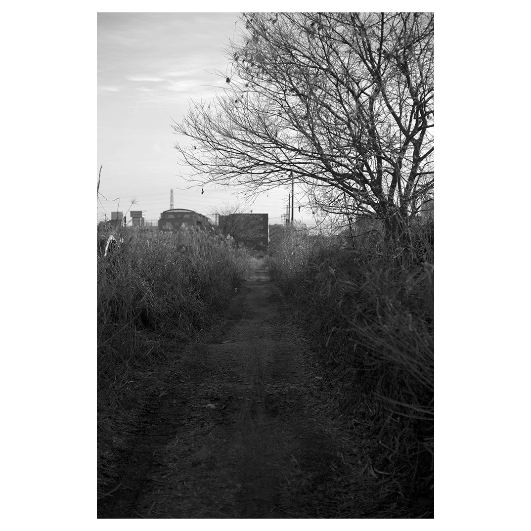 f:id:aremo-koremo:20211229185123j:plain