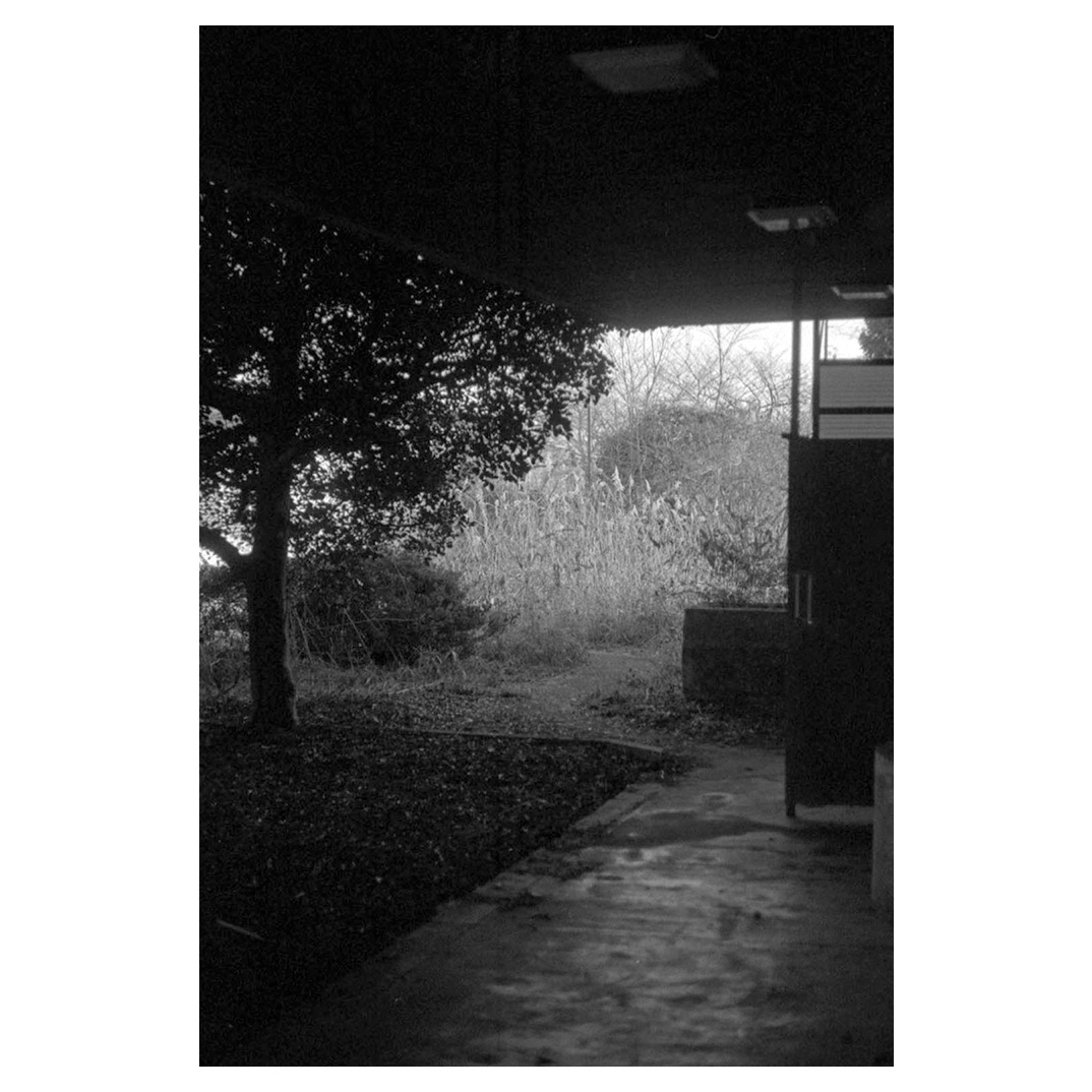 f:id:aremo-koremo:20220103151616j:plain