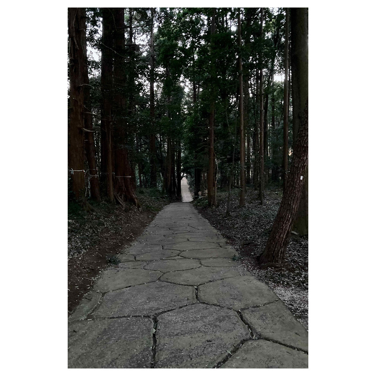 f:id:aremo-koremo:20220112005634j:plain