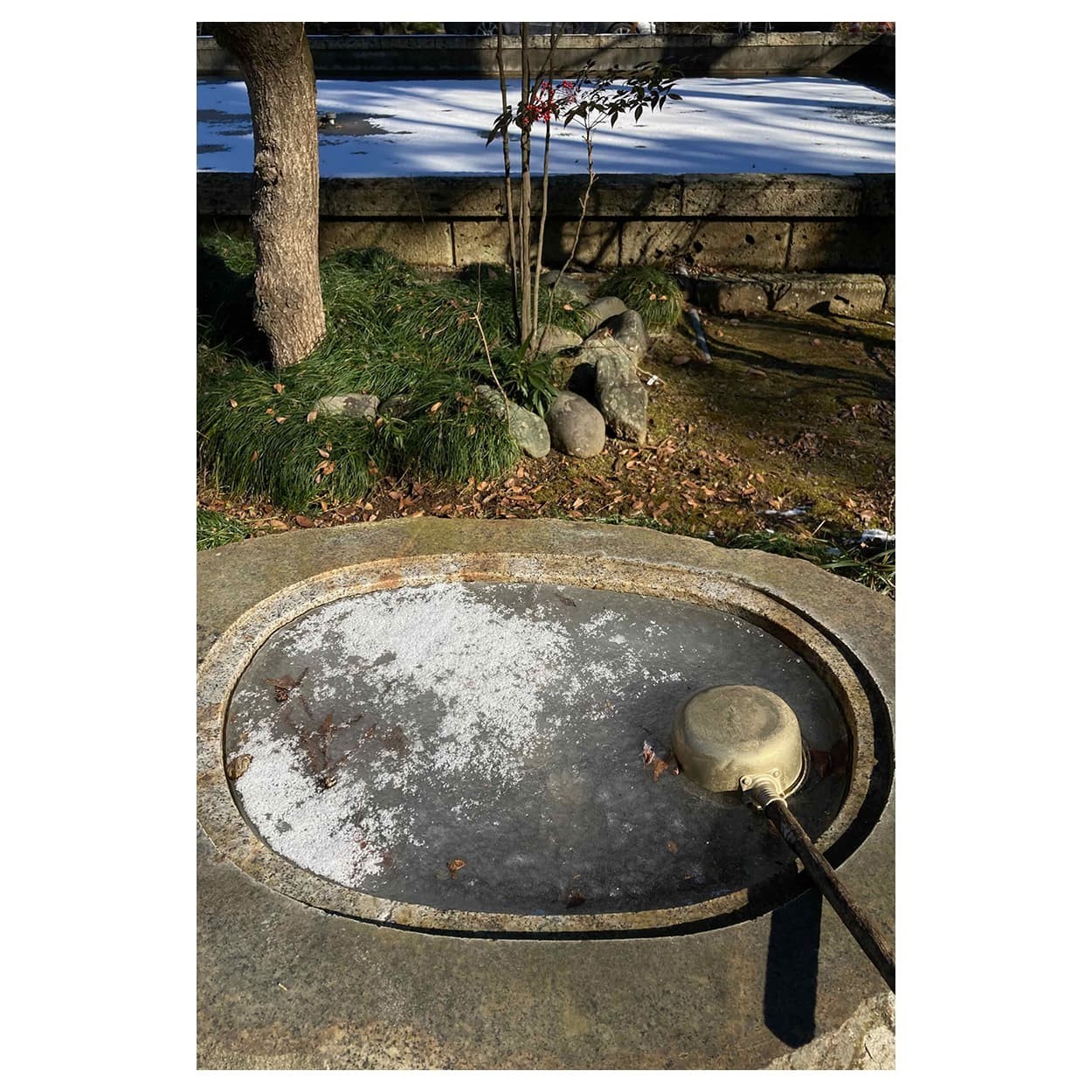 f:id:aremo-koremo:20220117013207j:plain