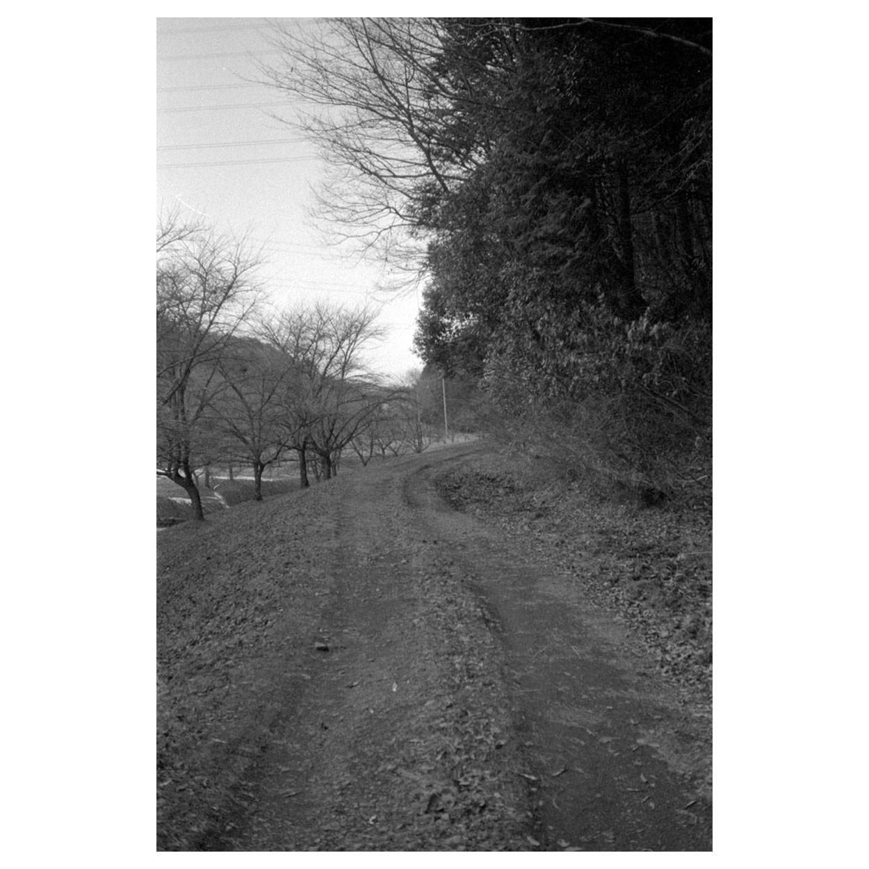 f:id:aremo-koremo:20220128021136j:plain