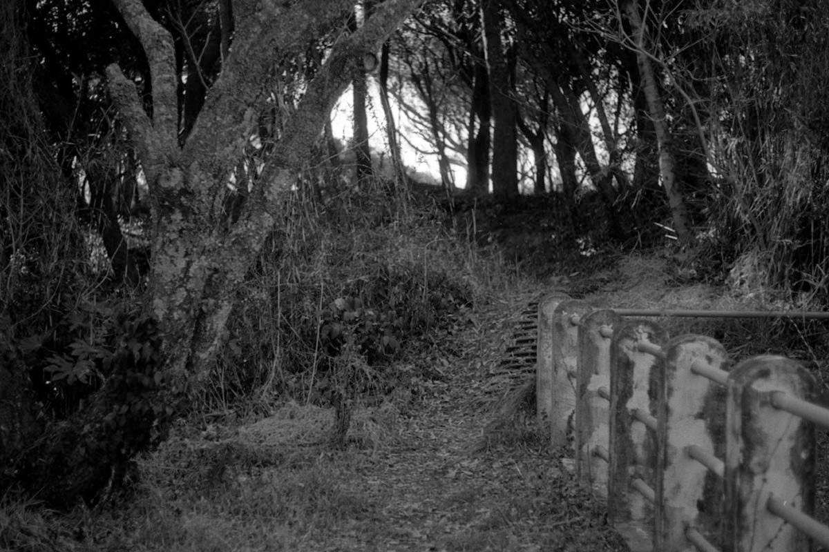 f:id:aremo-koremo:20220224021610j:plain