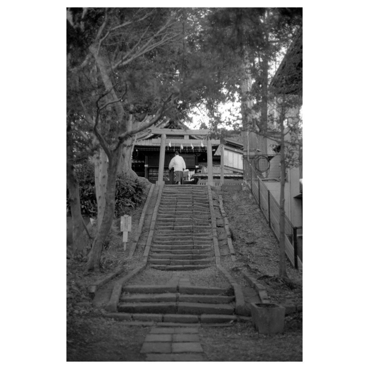 f:id:aremo-koremo:20220224021815j:plain