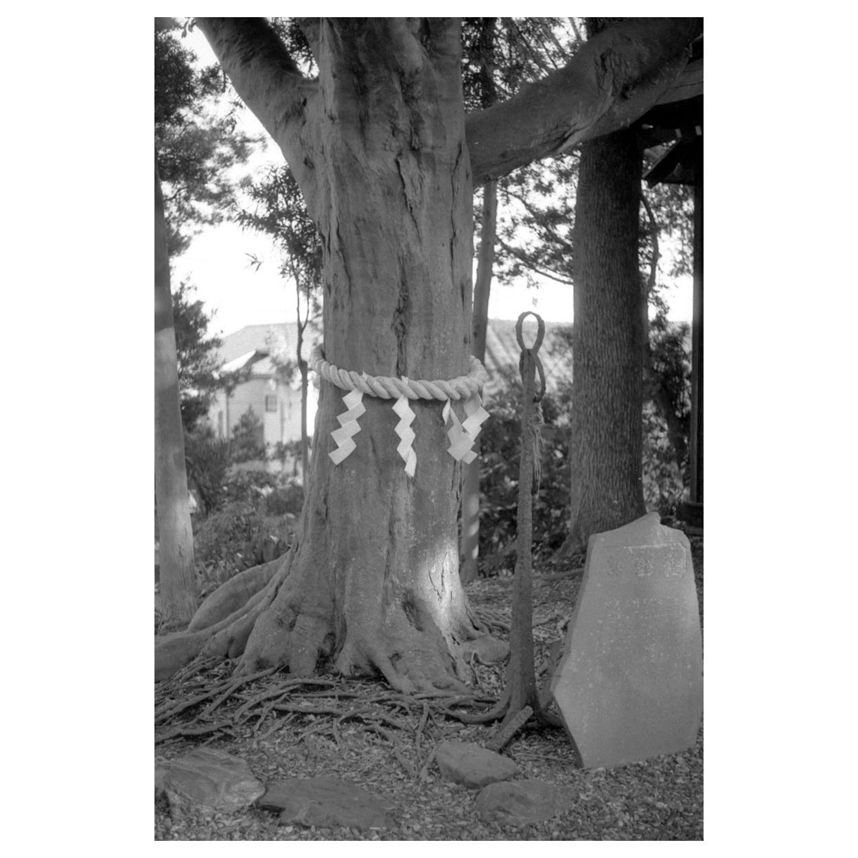 f:id:aremo-koremo:20220224021953j:plain