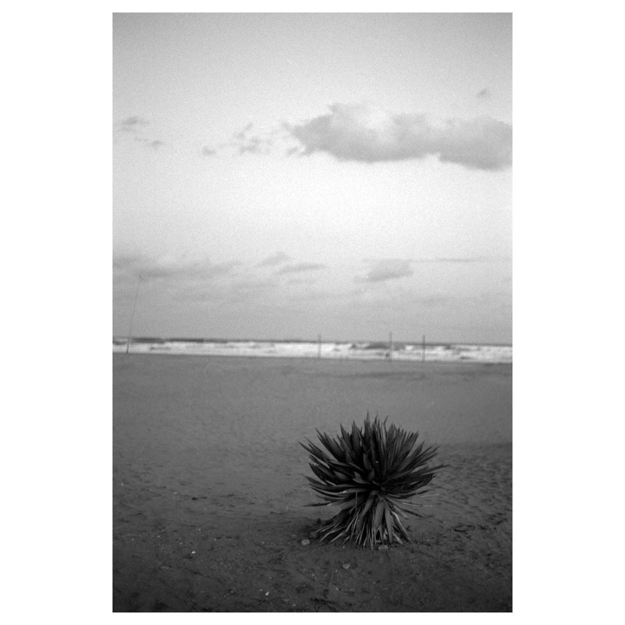 f:id:aremo-koremo:20220224023129j:plain