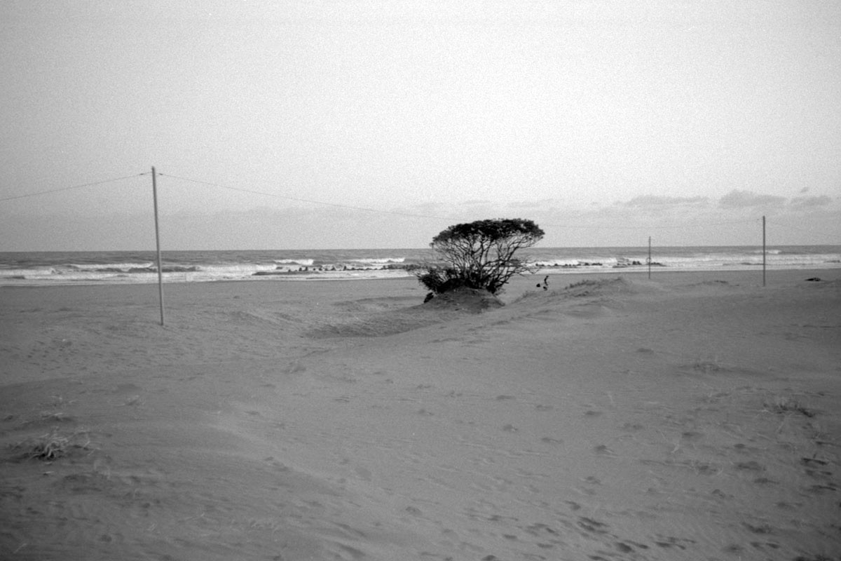 f:id:aremo-koremo:20220224023651j:plain