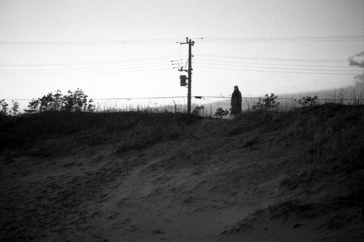 f:id:aremo-koremo:20220224024309j:plain