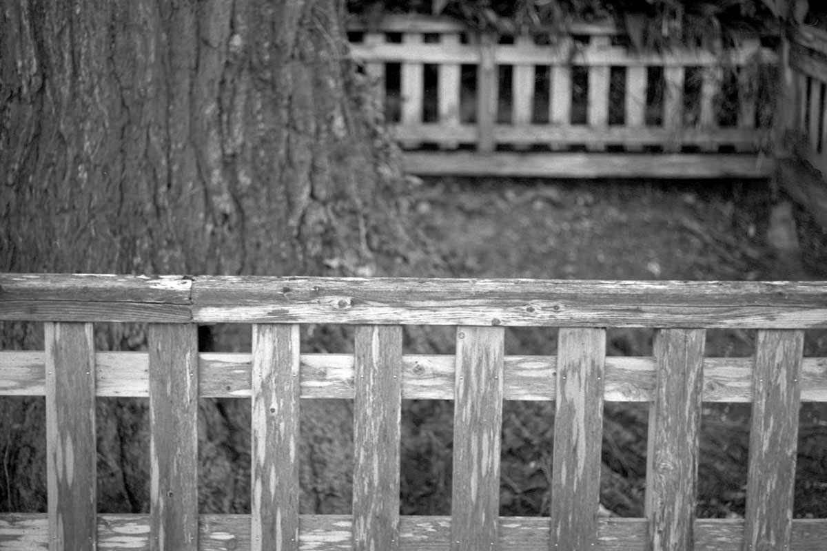 f:id:aremo-koremo:20220225020007j:plain