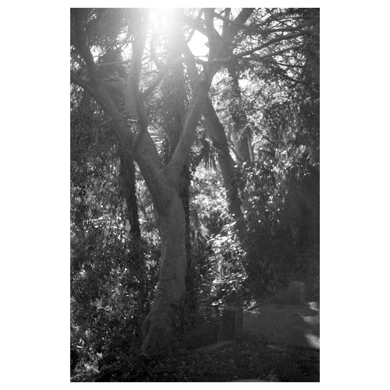 f:id:aremo-koremo:20220225020147j:plain