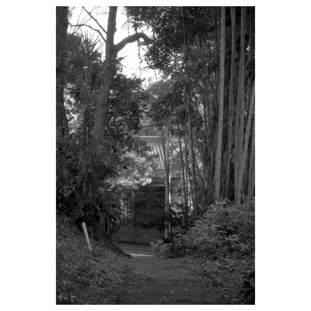 f:id:aremo-koremo:20220225020341j:plain