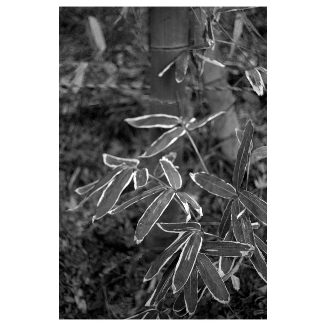 f:id:aremo-koremo:20220225020558j:plain