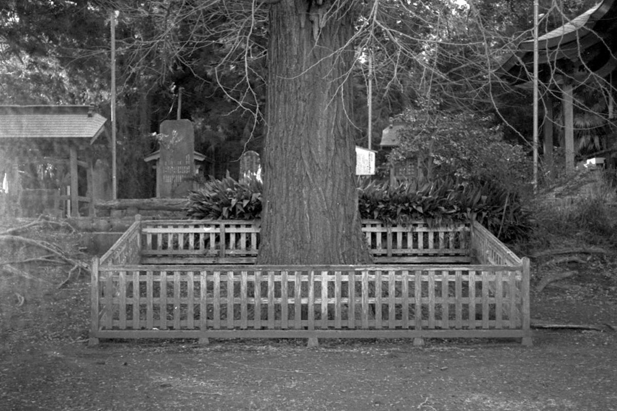 f:id:aremo-koremo:20220225021454j:plain