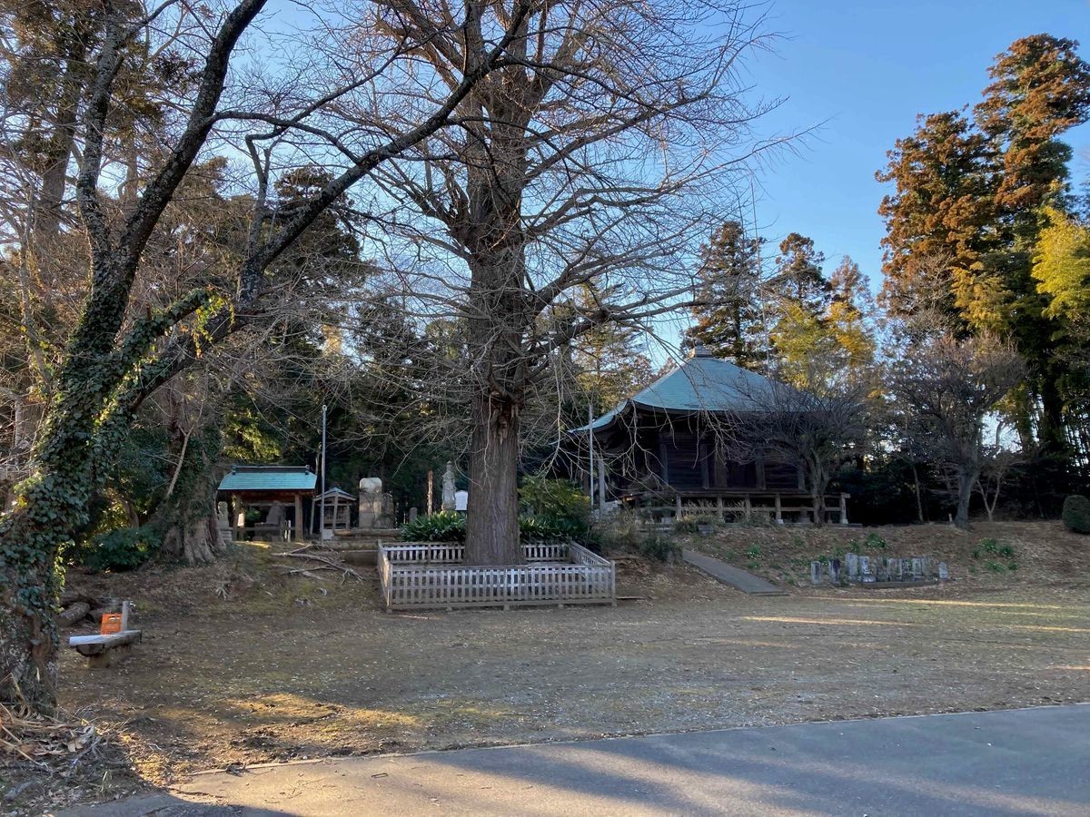 f:id:aremo-koremo:20220227150250j:plain