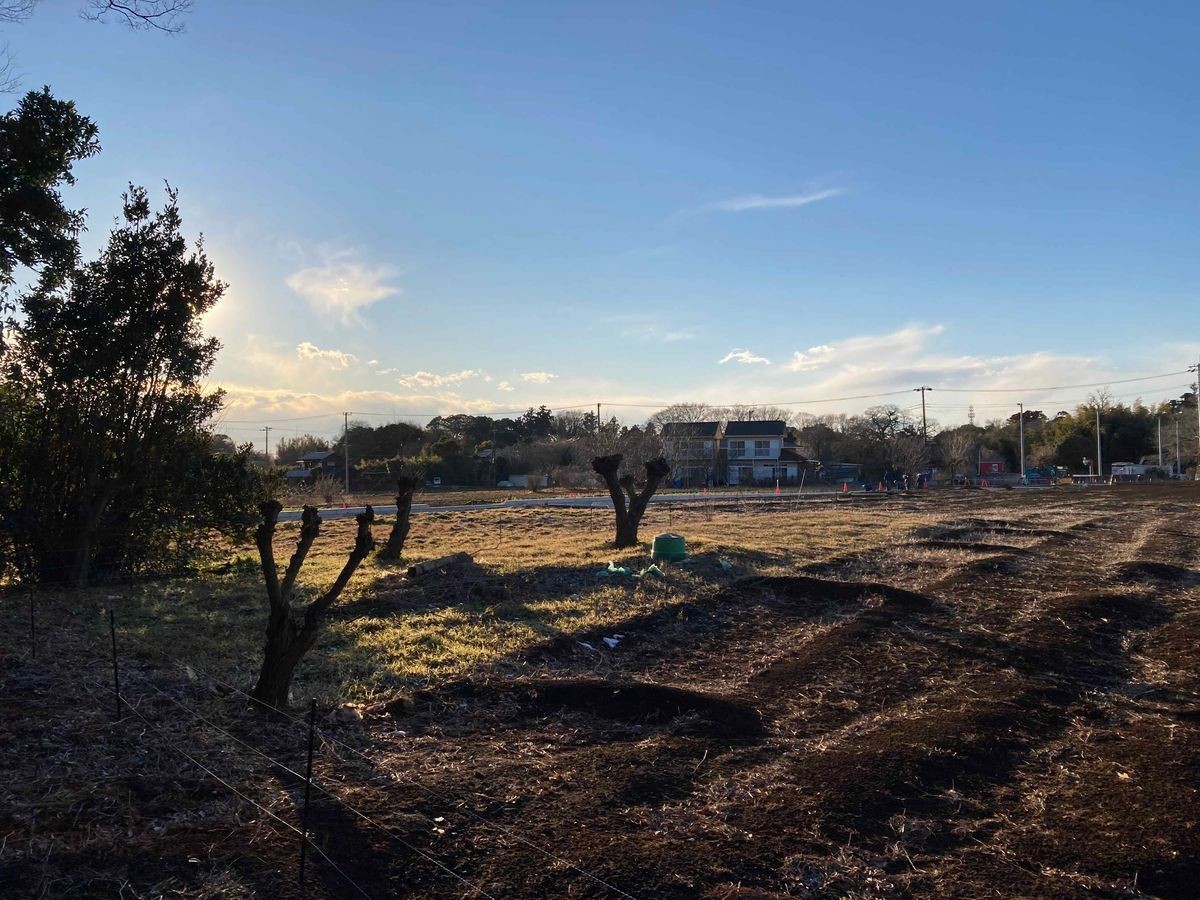 f:id:aremo-koremo:20220227151433j:plain