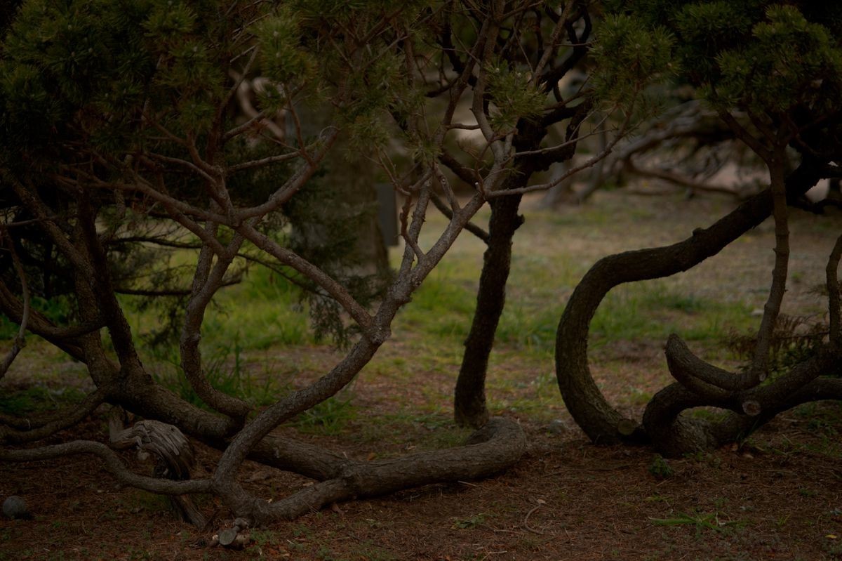 f:id:aremo-koremo:20220309045849j:plain