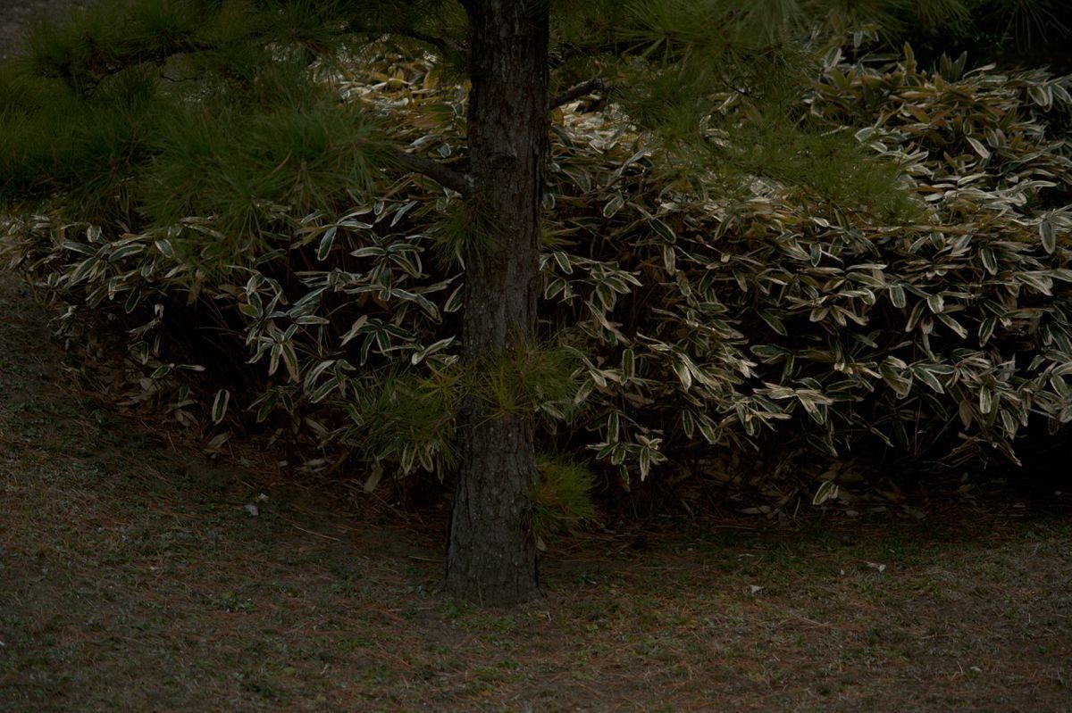 f:id:aremo-koremo:20220309050423j:plain