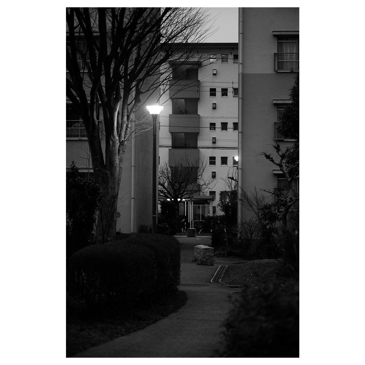 f:id:aremo-koremo:20220309052258j:plain