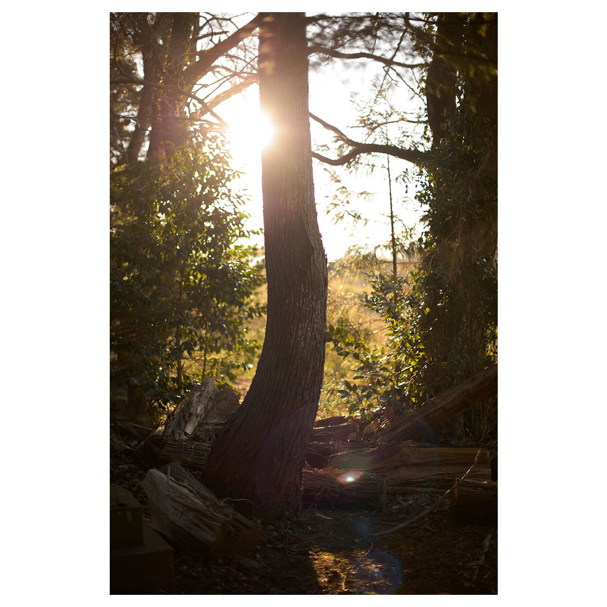 f:id:aremo-koremo:20220310020858j:plain