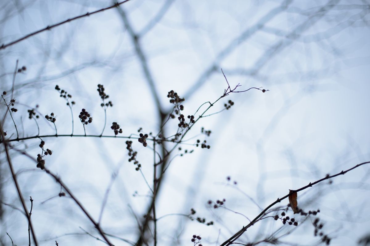 f:id:aremo-koremo:20220310022253j:plain