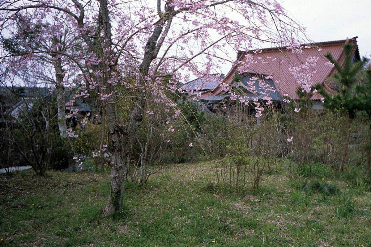 M2とFUJINON 3.5cm f2にリバーサルフィルムで撮ってきた - カメラが