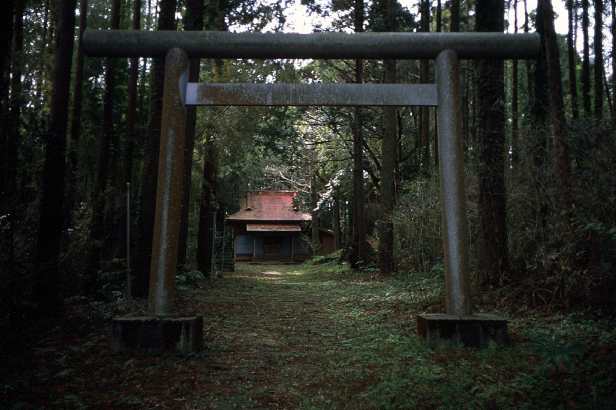 M2とFUJINON 3.5cm f2にリバーサルフィルムで撮ってきた - カメラが